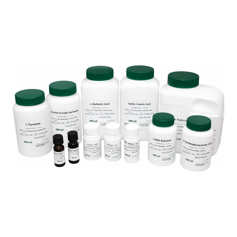Kisanbio MBcell Folinic Acid Calcium Pentahydrate