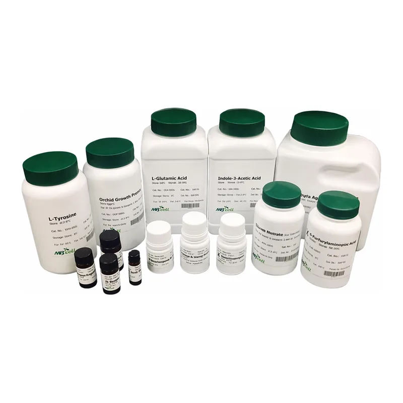 Kisanbio MBcell Dithioerythreitol (DTE)