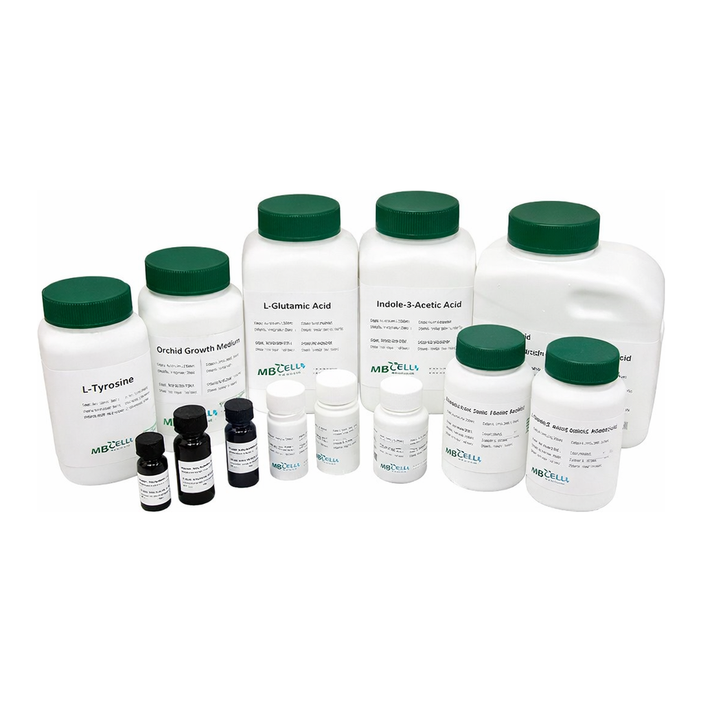 Kisanbio MBcell Bleomycin Sulfate