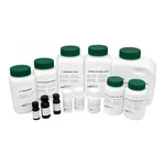 Kisanbio MBcell Bleomycin Sulfate
