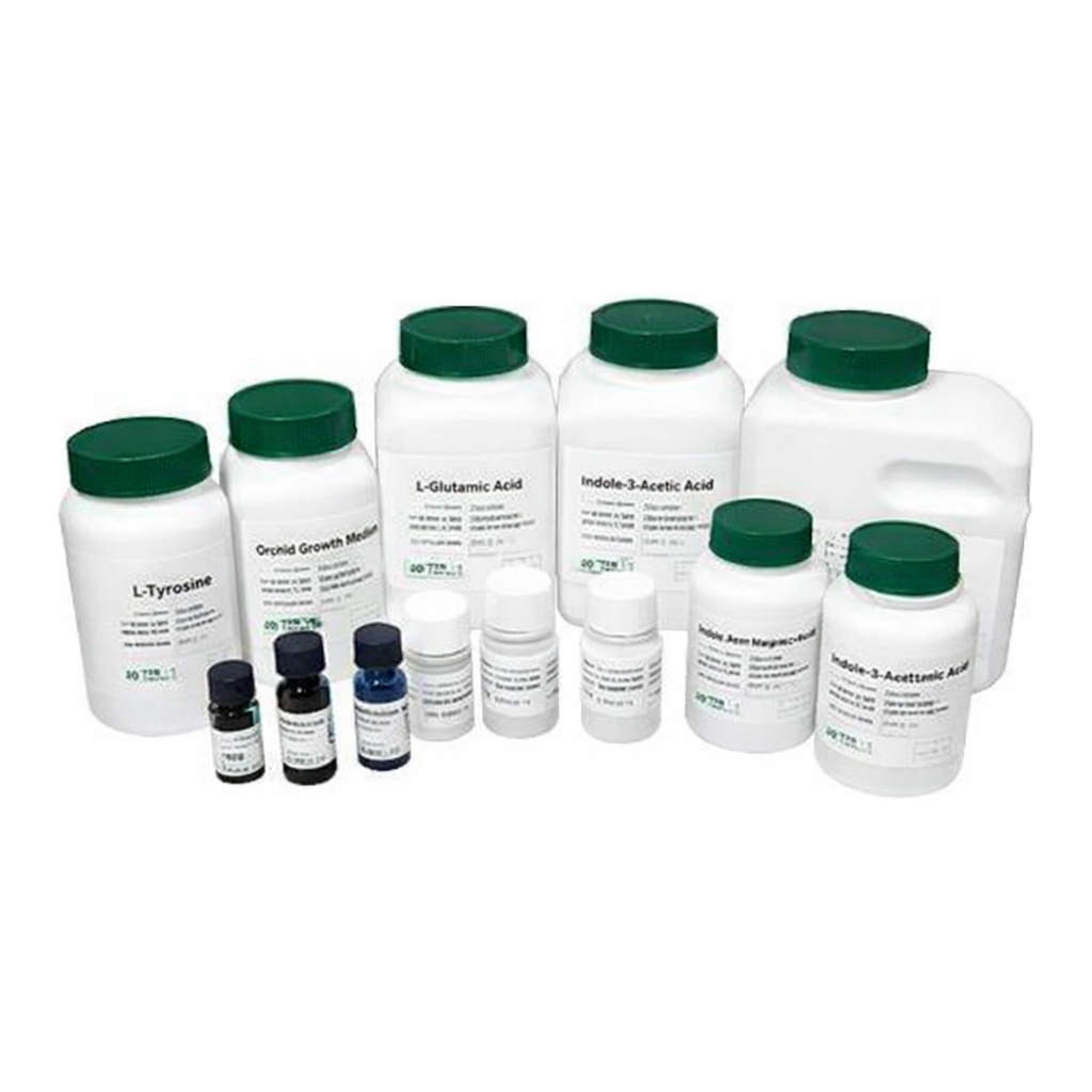Kisanbio MBcell L-Ornithine Hydrochloride