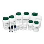 Kisanbio MBcell L-Ornithine Hydrochloride