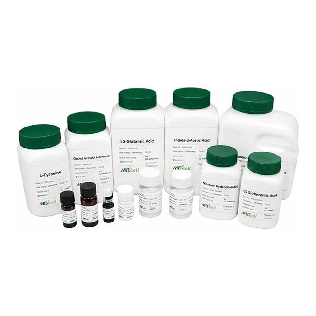 Kisanbio MBcell Phleomycin