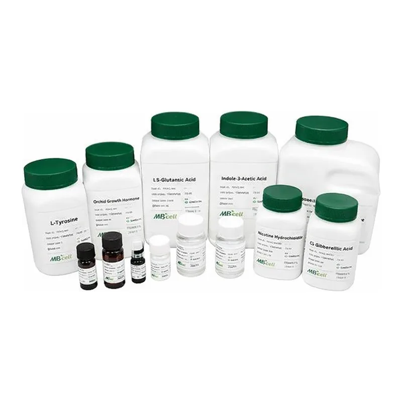 Kisanbio MBcell Phleomycin