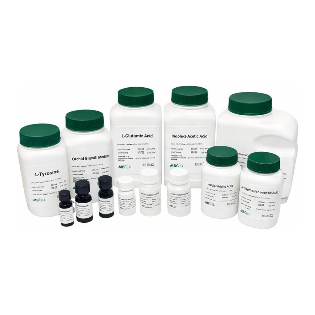 Kisanbio MBcell Chloramphenicol