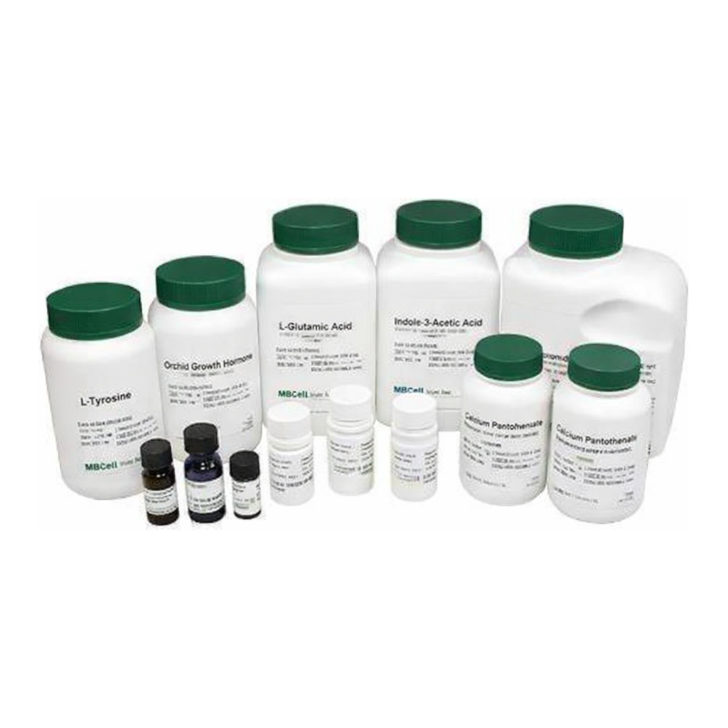 Kisanbio MBcell Cefoxicin Sodium Salt
