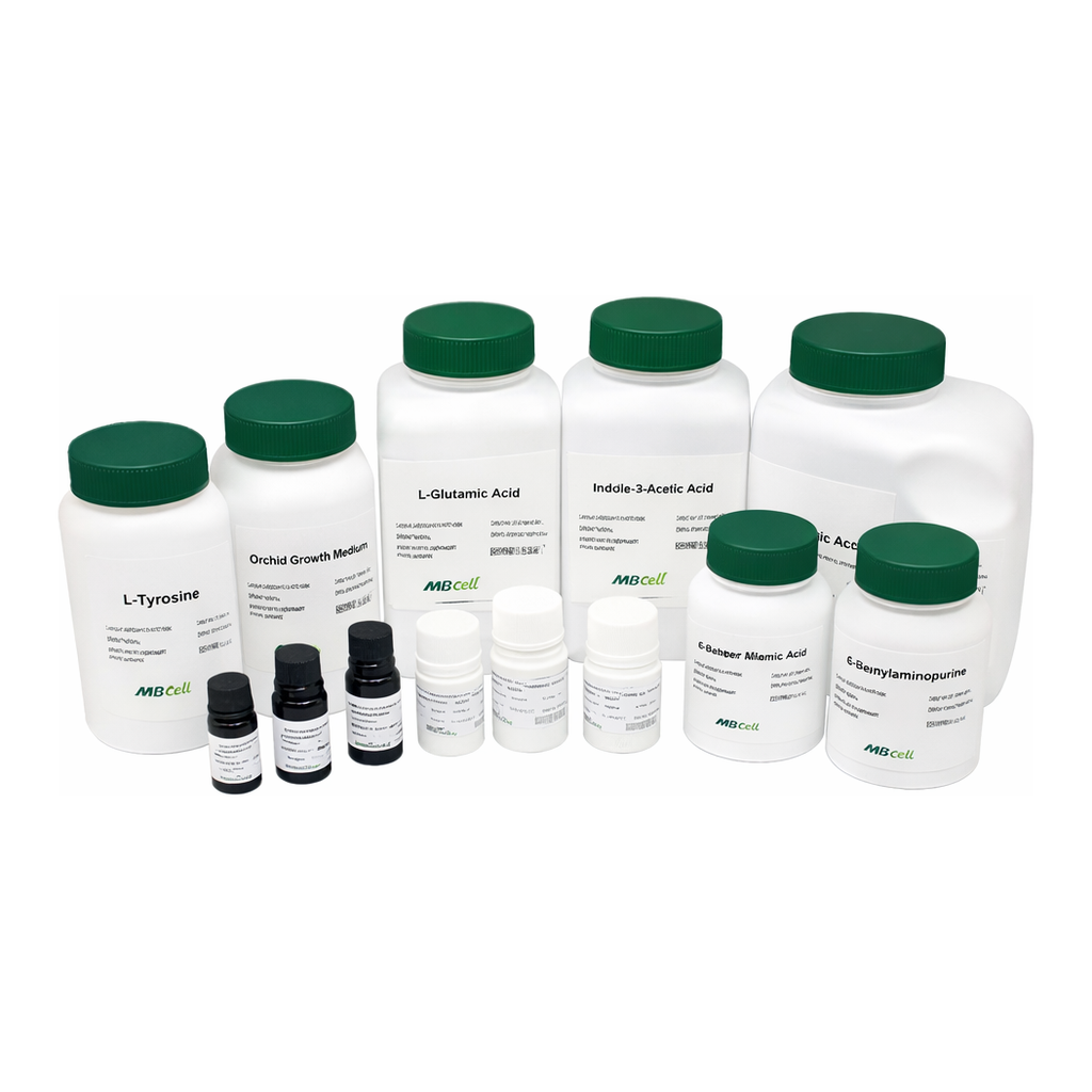 Kisanbio MBcell L-Alanine
