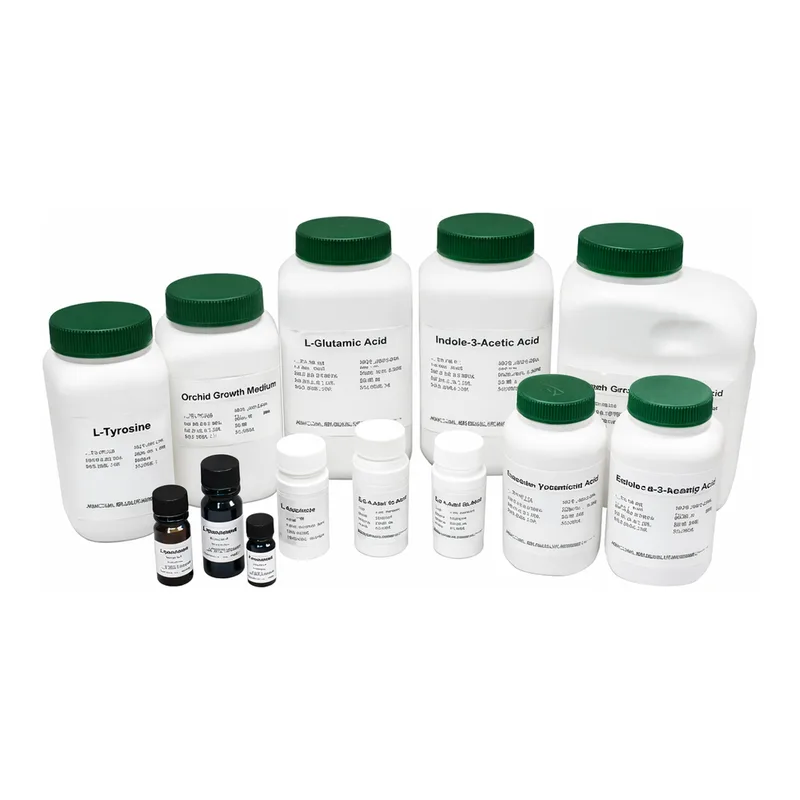 Kisanbio MBcell Methylene Chloride 99%
