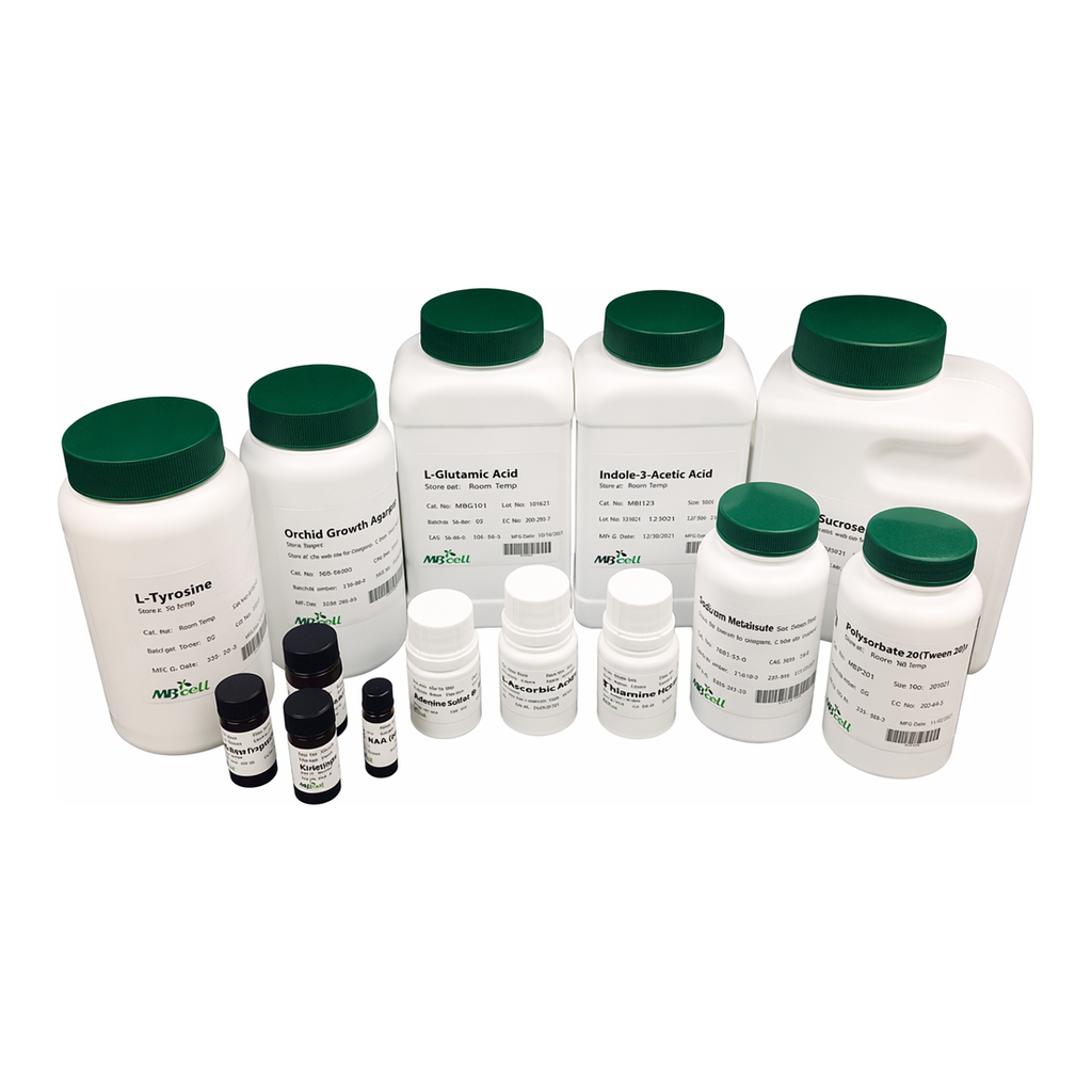 Kisanbio MBcell L-Aspartic Acid