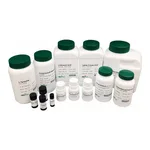 Kisanbio MBcell L-Aspartic Acid