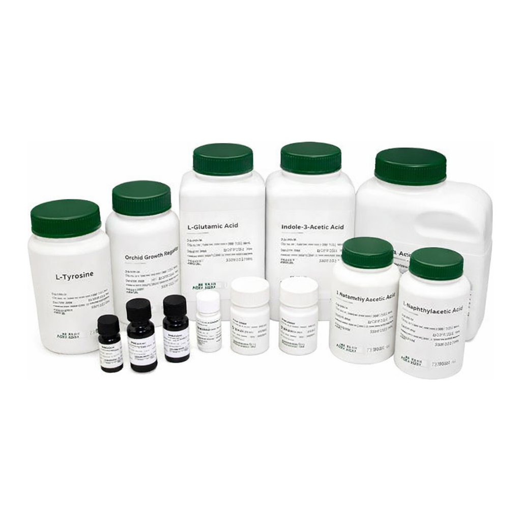 Kisanbio MBcell Benzidine Dihydrochloride