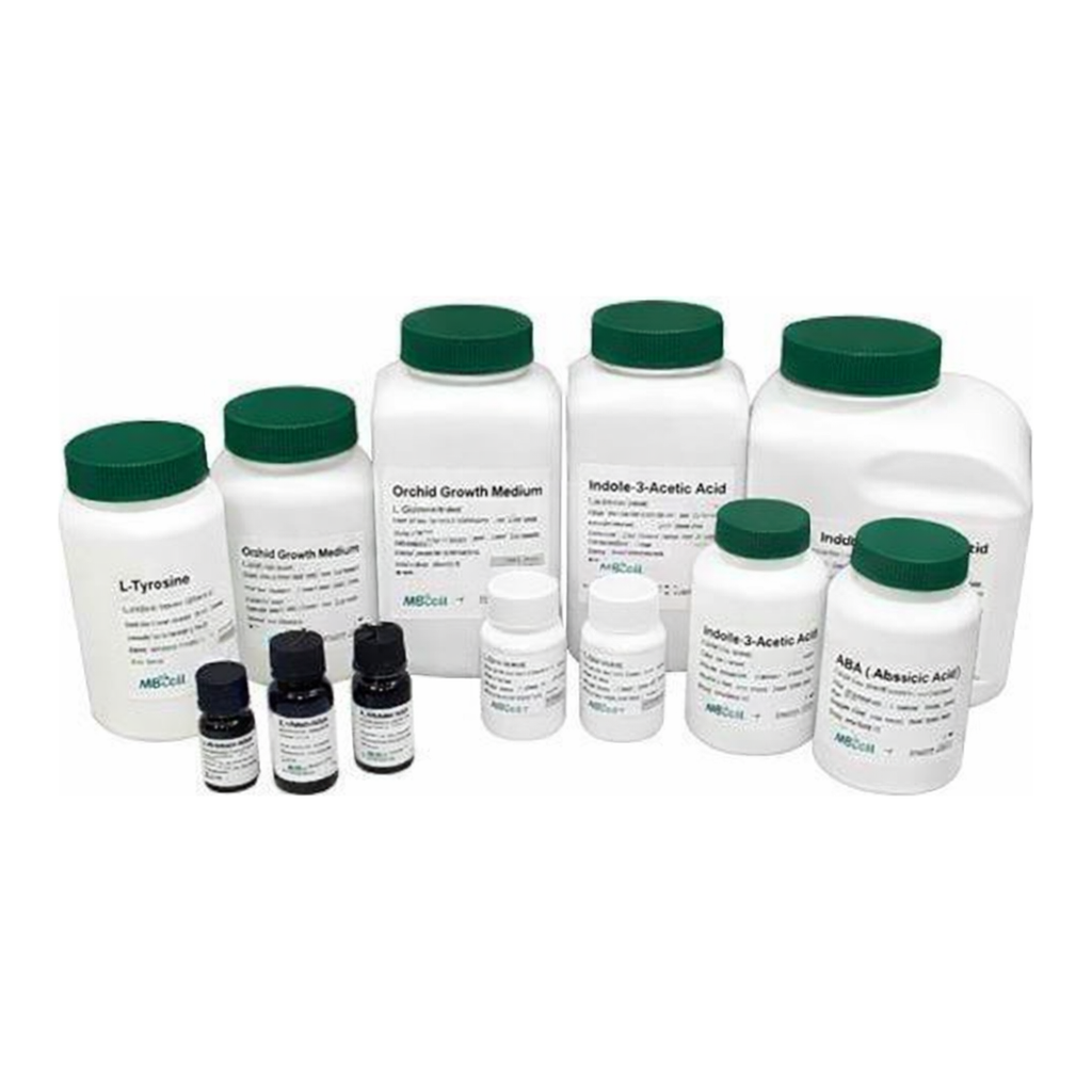 Kisanbio MBcell D-Biotin