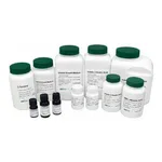 Kisanbio MBcell D-Biotin