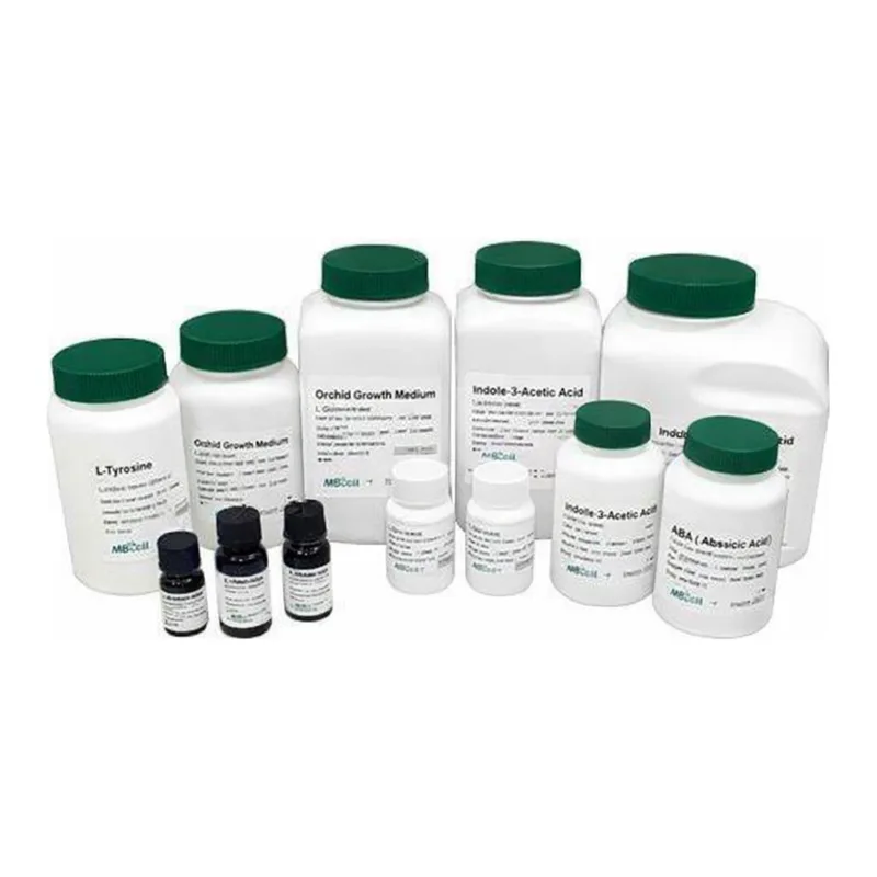 Kisanbio MBcell D-Biotin