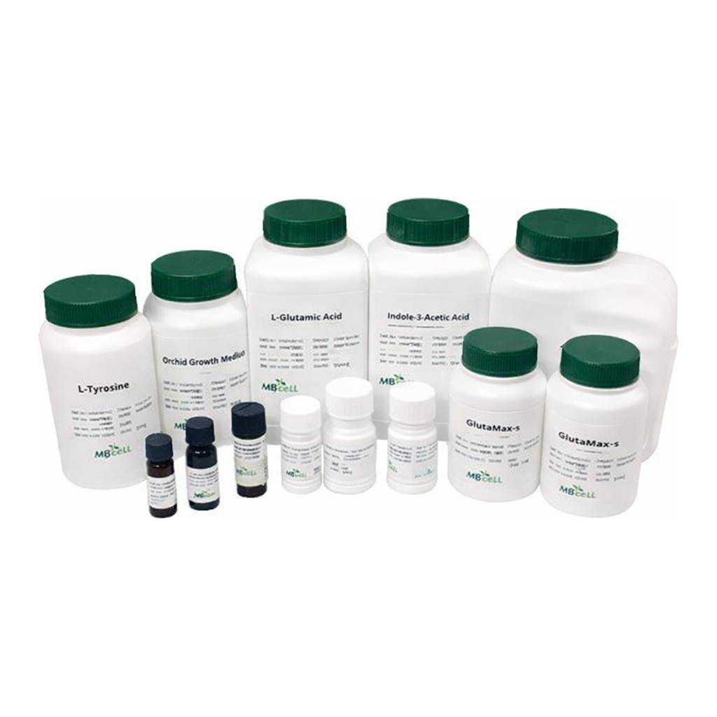 Kisanbio MBcell Tobramycin Sulfate