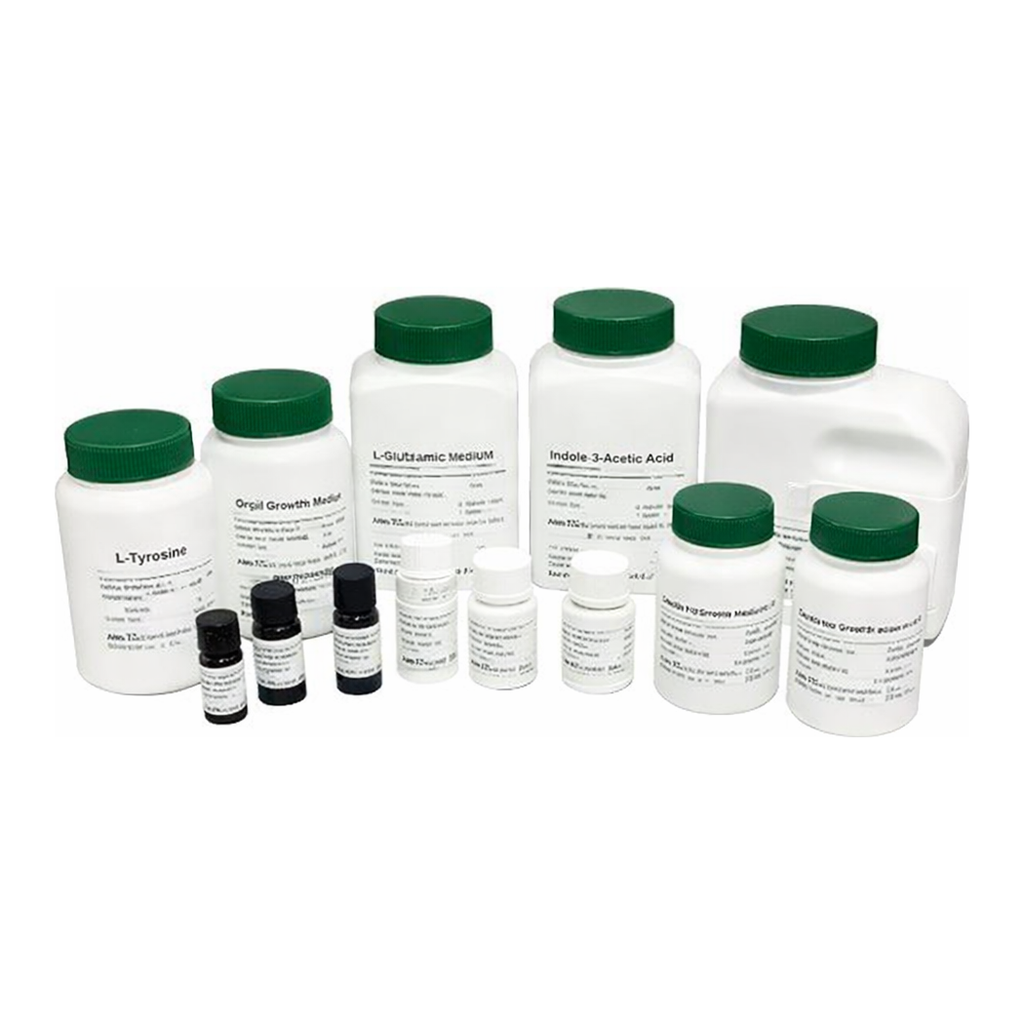 Kisanbio MBcell X-Gluc(=X-GlcA) Ammonium Salt