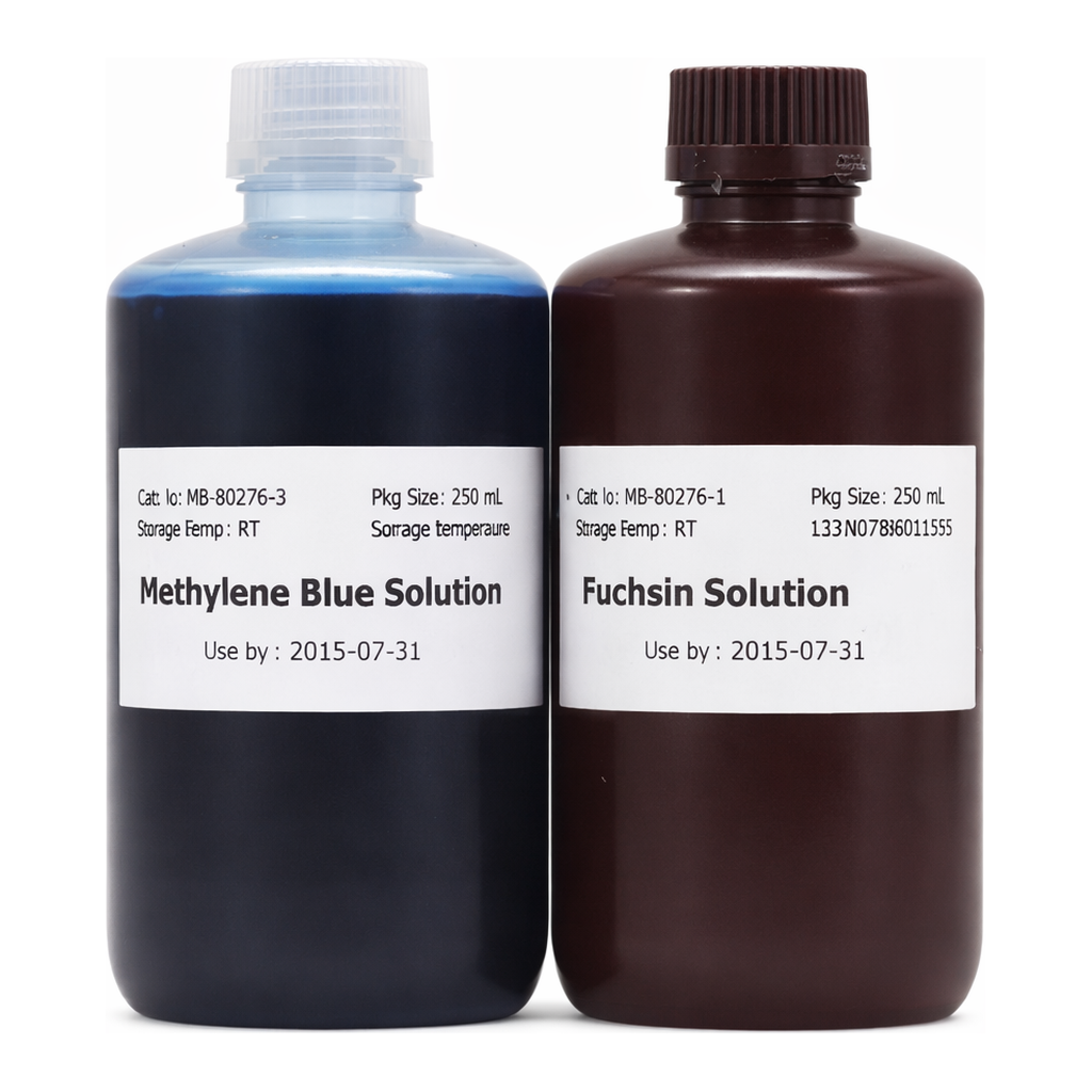 Kisanbio MBcell Lugol PVP Solution (Gram staining)