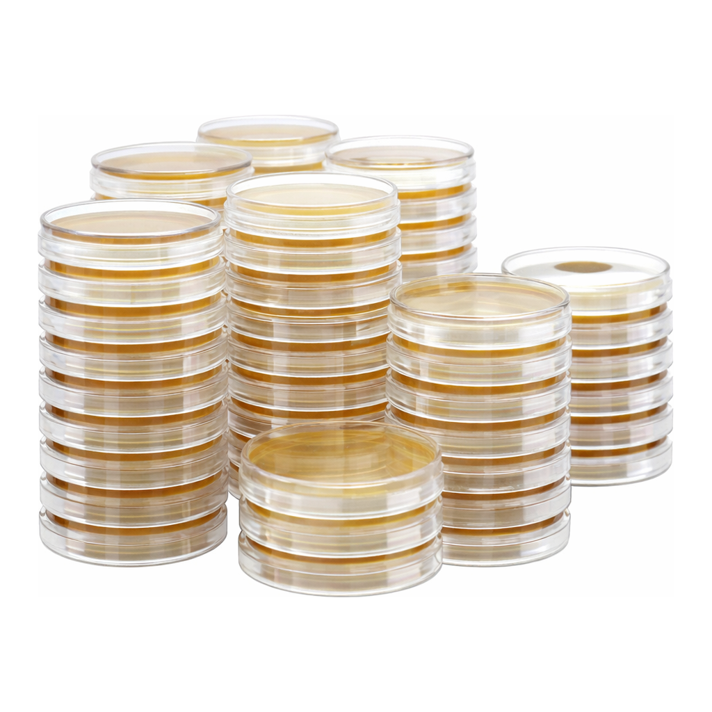 Kisanbio MBcell R2A Agar / MB-R1129-P50