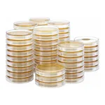 Kisanbio MBcell R2A Agar / MB-R1129-P50