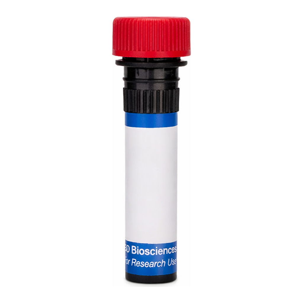 BD RB670 Mouse Anti-Human CD114 (G-CSF Receptor)