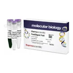 Thermo Fisher Scientific FastDigest FokI