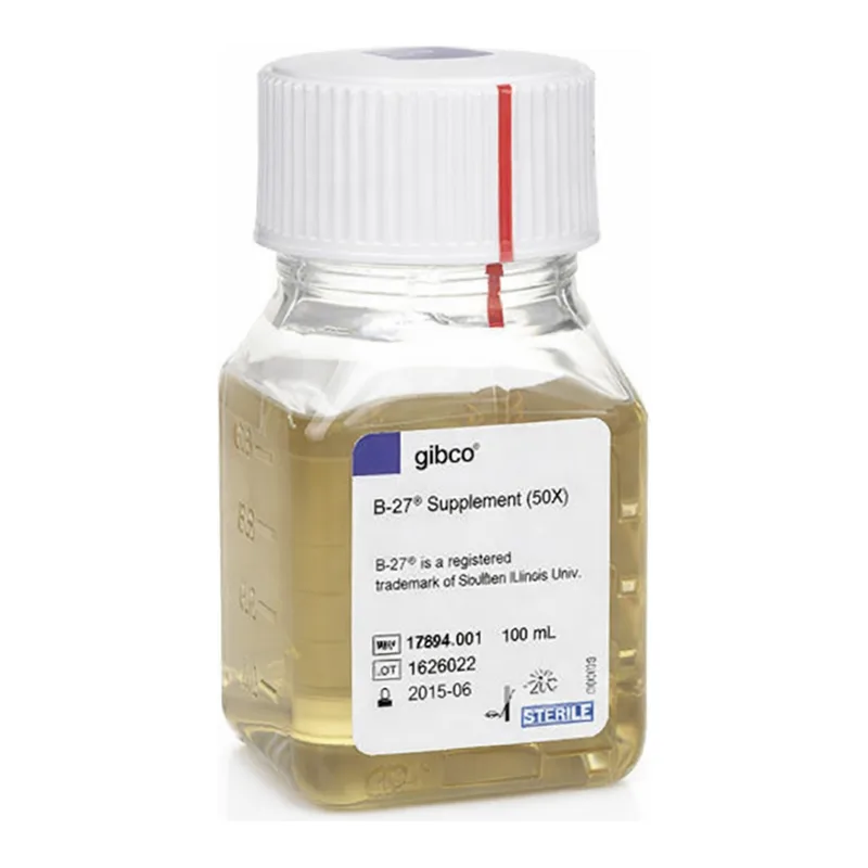 Thermo Fisher Scientific B-27 Supplement (50X), serum free, 100 mL