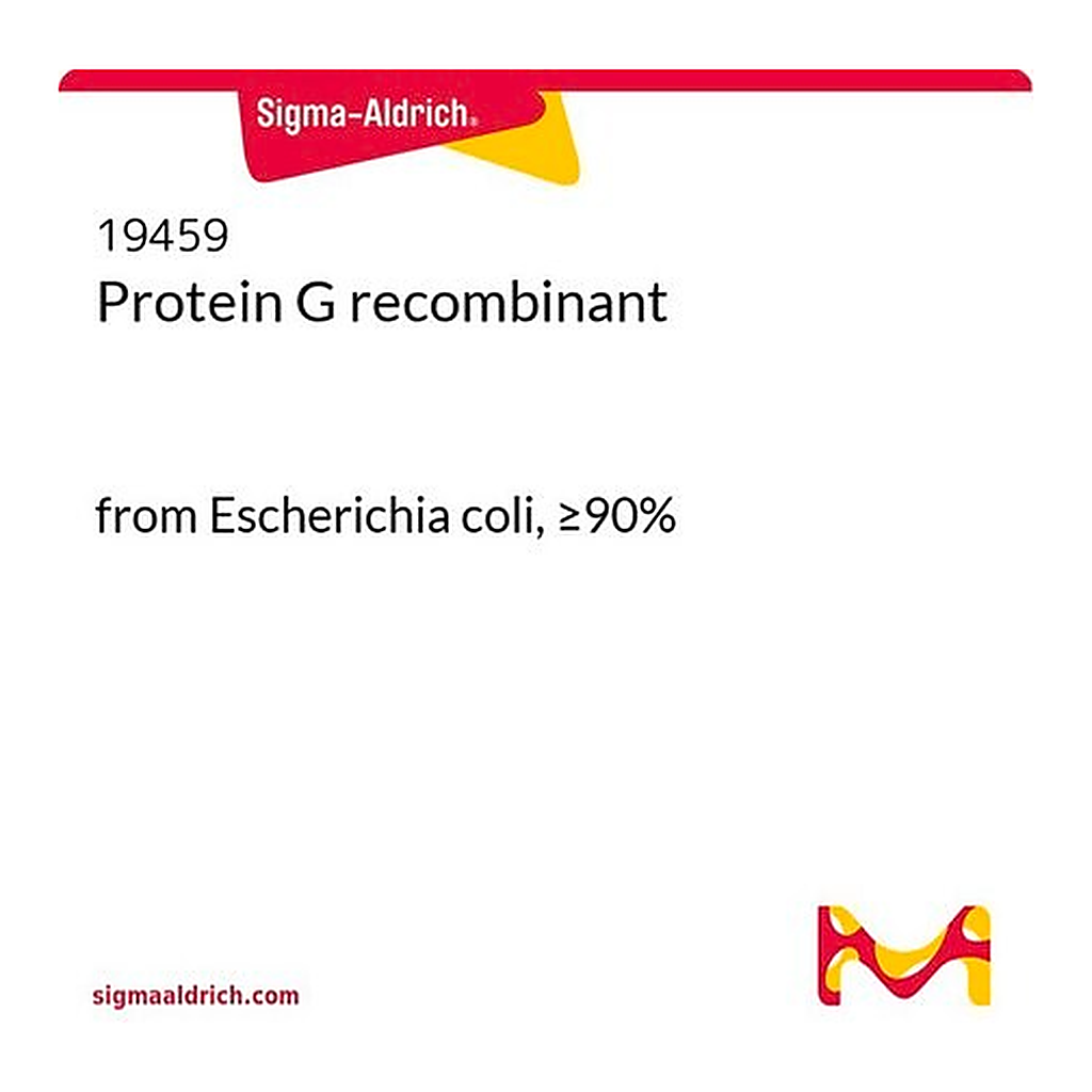 Merck Protein G recombinant