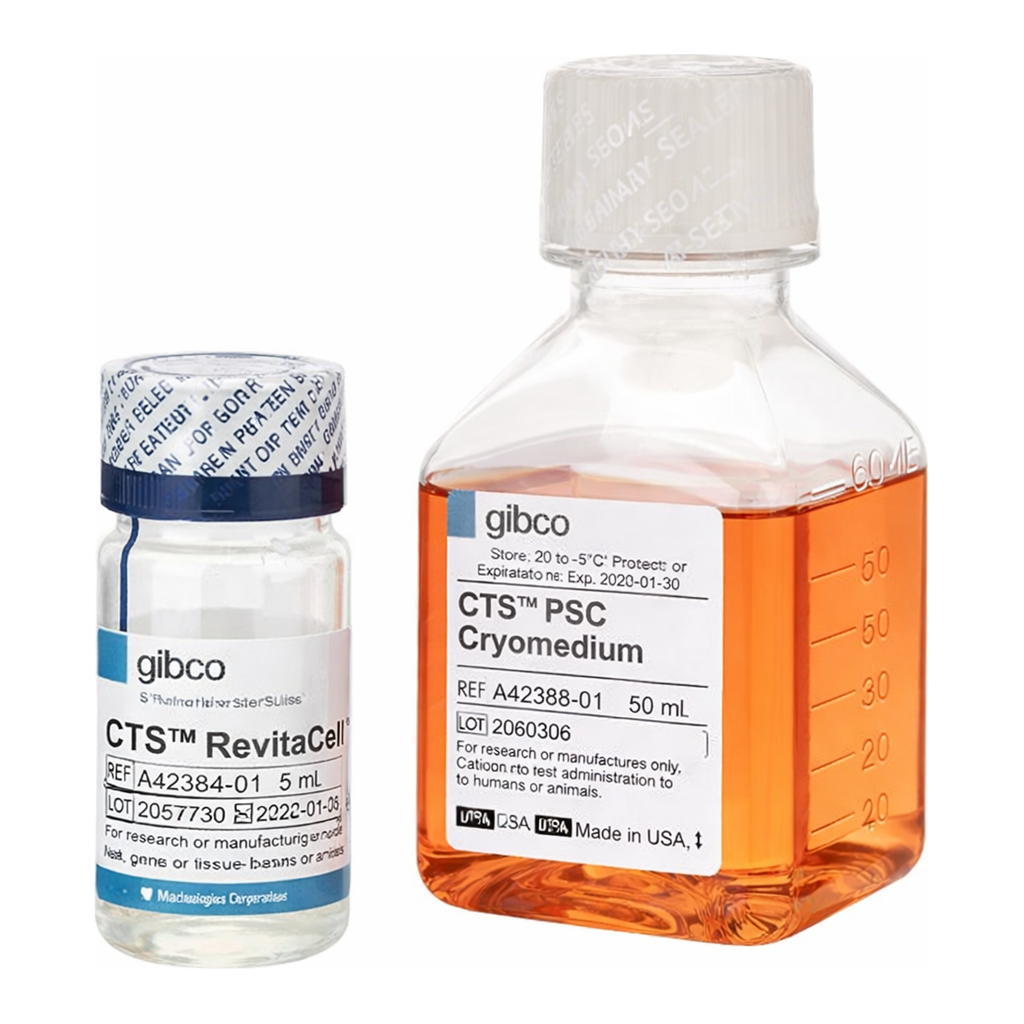Thermo Fisher Scientific CTS PSC Cryopreservation Kit