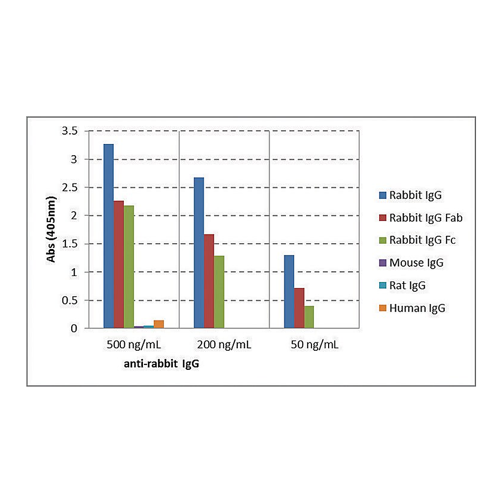 Merck Anti-Rabbit IgG-Biotin antibody, Goat monoclonal