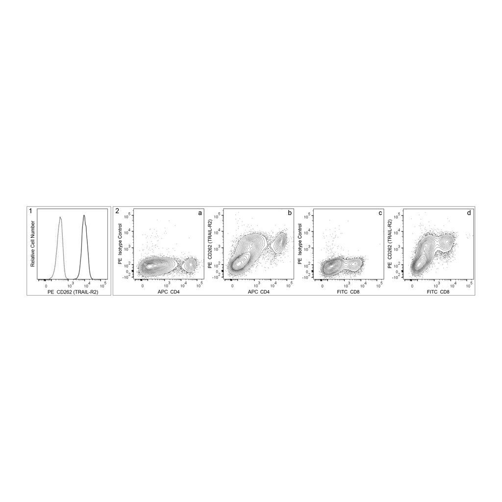 BD PE Hamster Anti-Mouse CD262 (TRAIL-R2)
