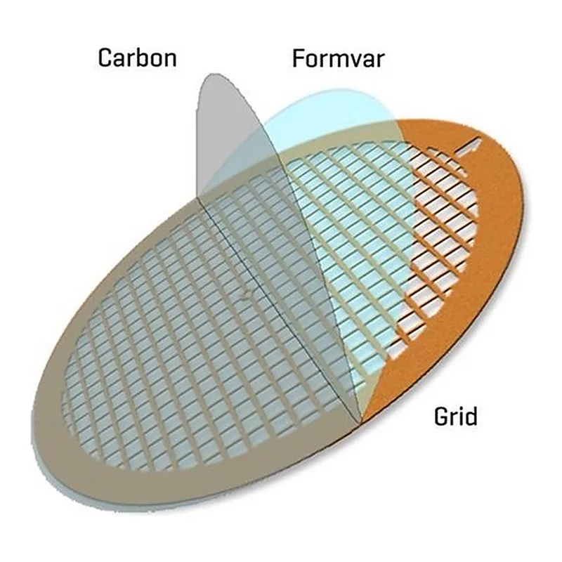 Merck Formvar/Carbon Supported Copper Grids