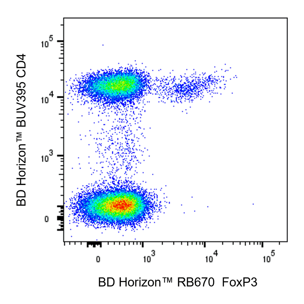 BD RB670 Mouse Anti-Human FoxP3