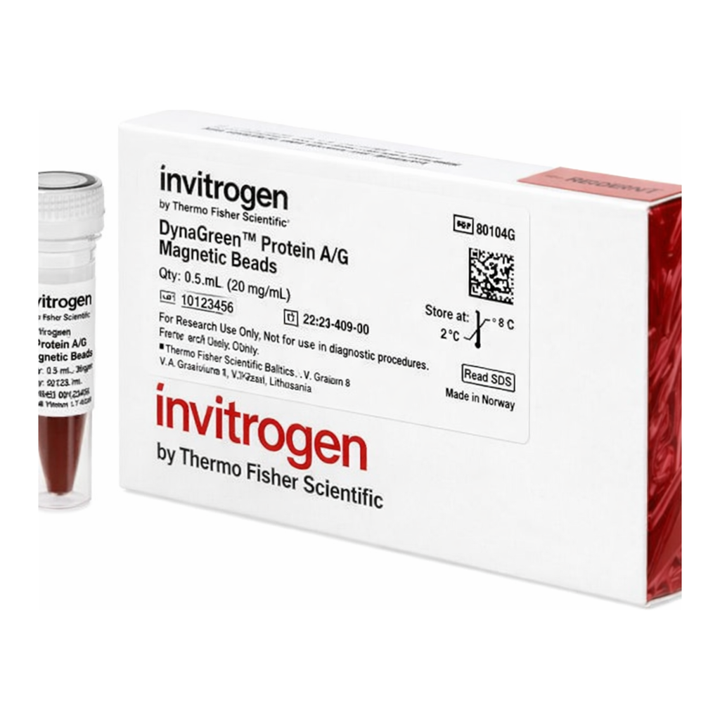 Thermo Fisher Scientific DynaGreen Protein A/G Magnetic Beads, 0.5 mL, 20 rxns