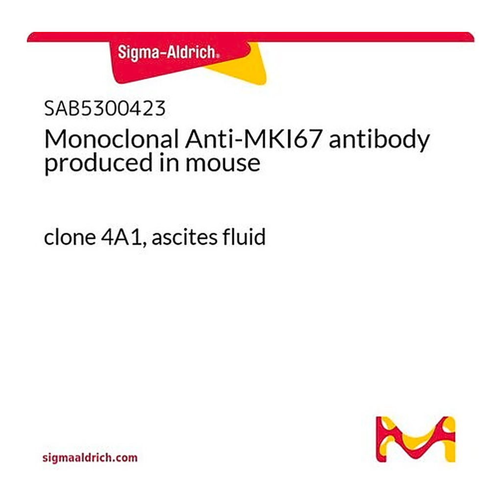Merck Monoclonal Anti-MKI67 antibody produced in mouse