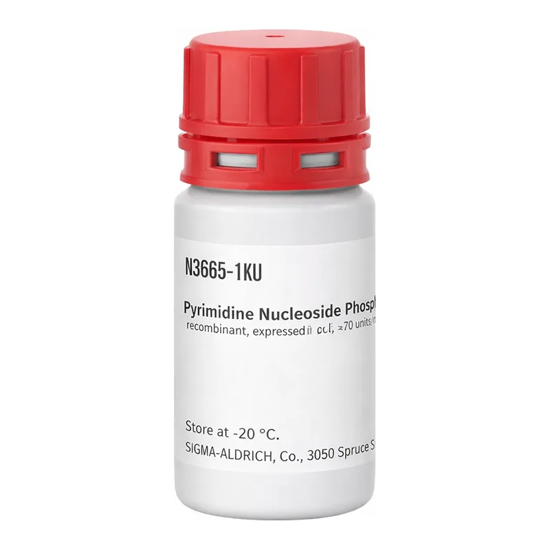 Merck Pyrimidine Nucleoside Phosphorylase from Bacillus subtilis