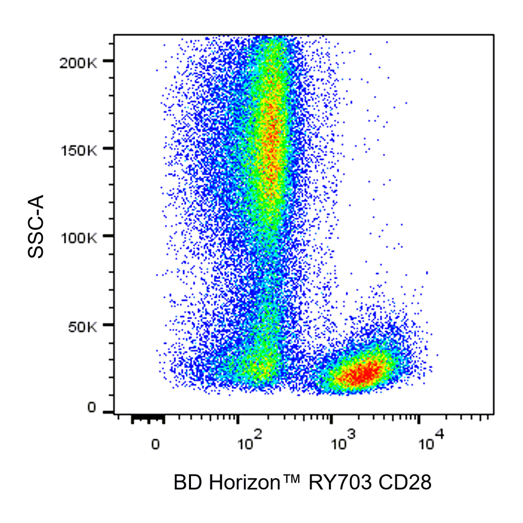 BD RY703 Mouse Anti-Human CD28