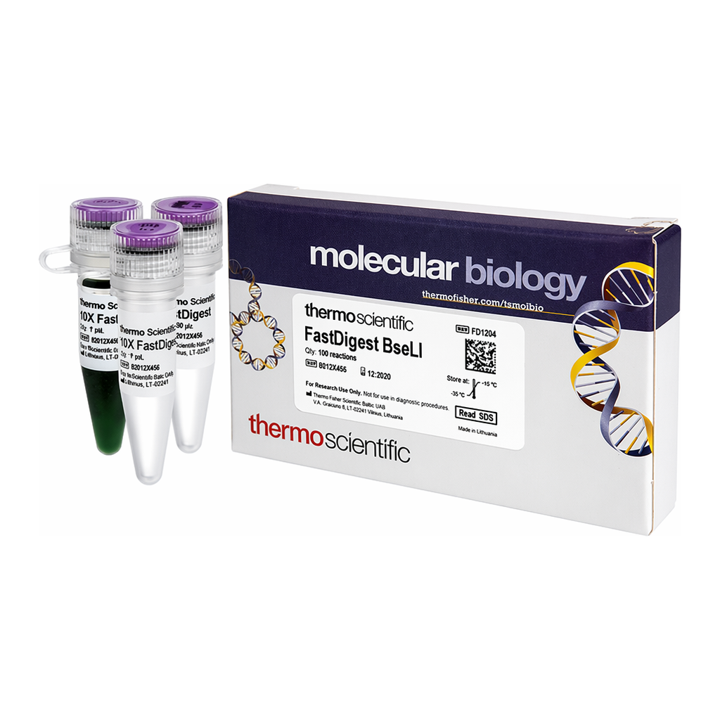 Thermo Fisher Scientific FastDigest BseLI
