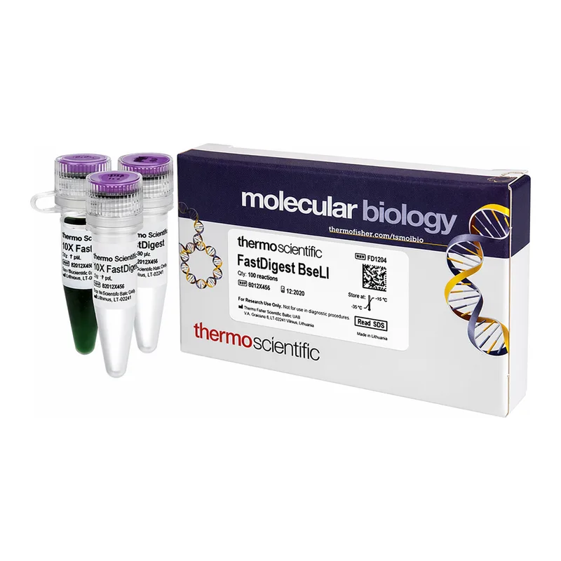 Thermo Fisher Scientific FastDigest BseLI