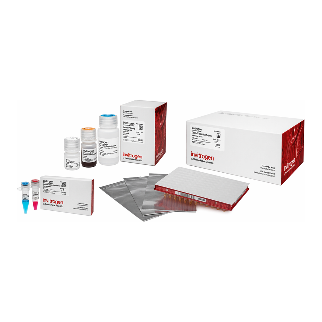 Thermo Fisher Scientific Collibri PCR-free PS DNA Library Prep Kit for Illumina Systems, with CD indexes, 24 preps