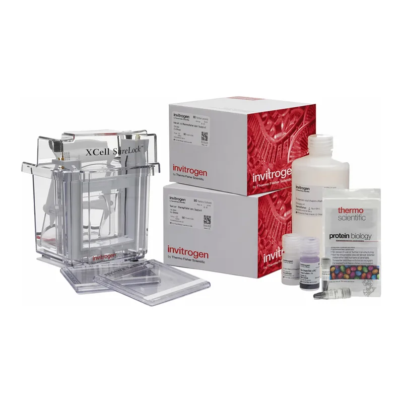Thermo Fisher Scientific NuPAGE WedgeWell Tris-Acetate XCell SureLock Mini-Cell Welcome Pack, 3 to 8%, 10-well, 1 Welcome Pk. kit
