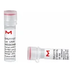 Merck MISSION(R) esiRNA