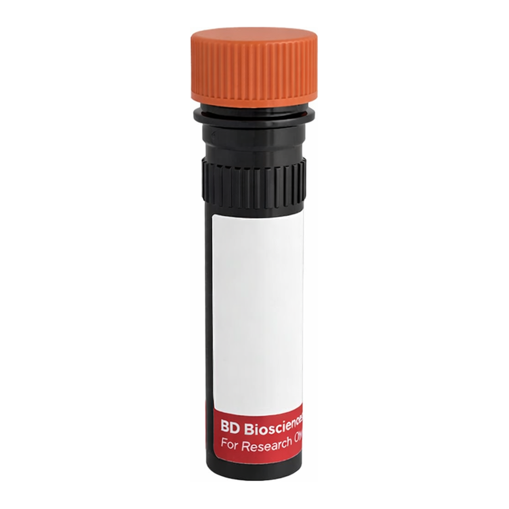 BD RR688 Rat Anti-Mouse CD268 (BAFF Receptor)