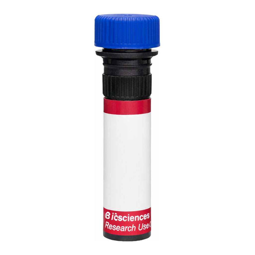 BD R718 Mouse Anti-Rat High Affinity IgE Receptor