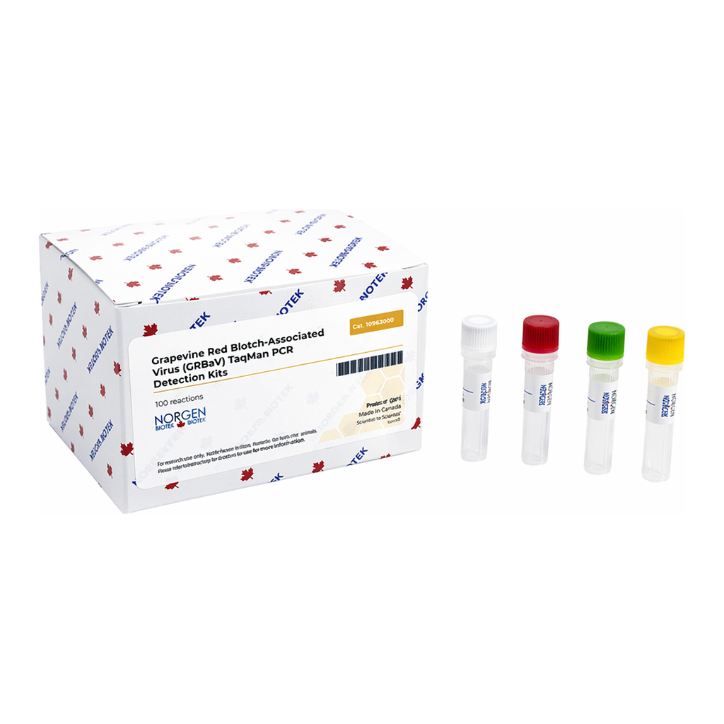 Norgen Grapevine Red-Blotch Associated Virus (GRBaV) TaqMan Probe/Primer and Control Set