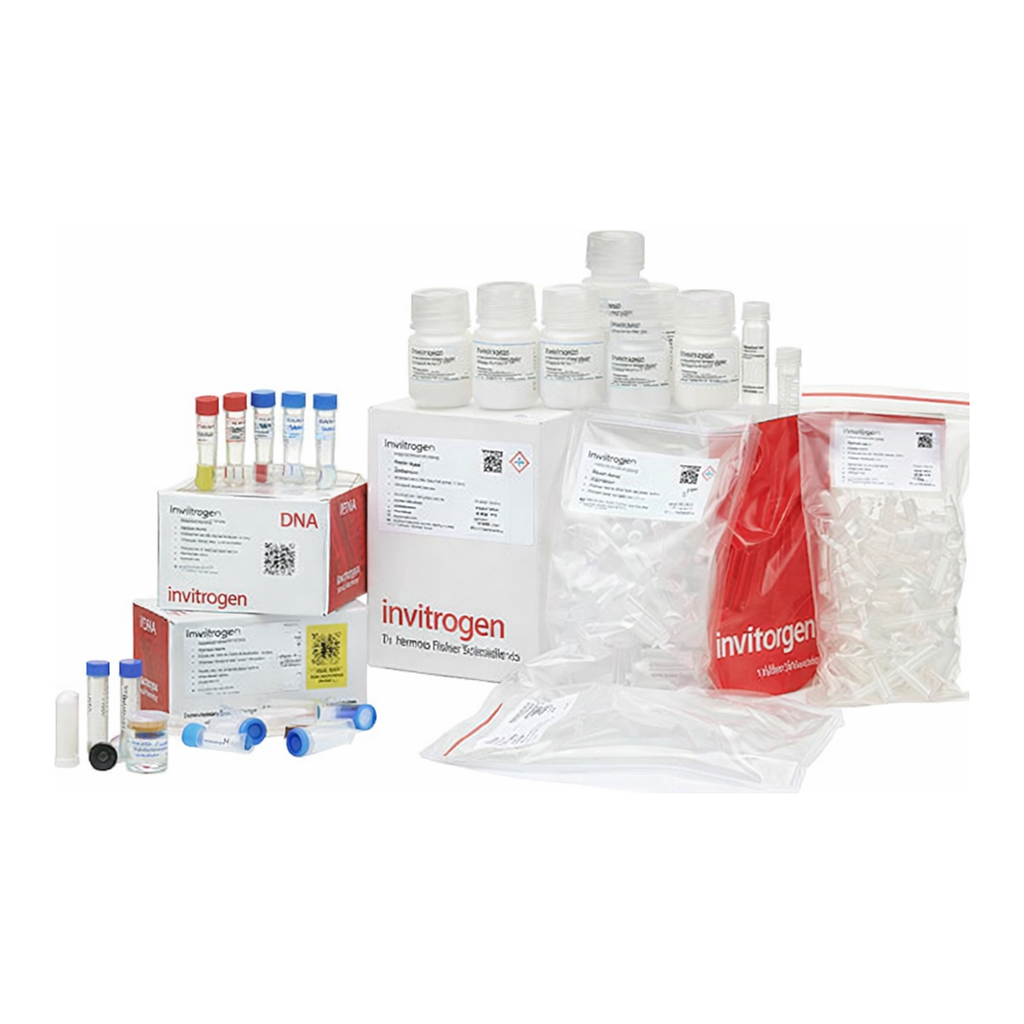 Thermo Fisher Scientific TOPO TA Cloning Kit, with pCR2.1-TOPO, One Shot Mach1-T1R Chemically Competent E. coli, and PureLink Quick Plasmid Miniprep Kit