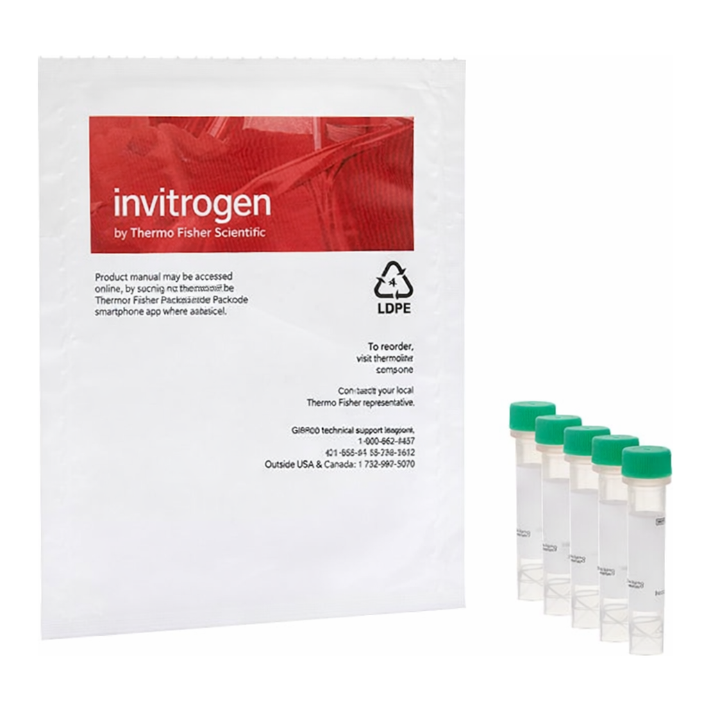 Thermo Fisher Scientific CellROX Green Reagent, for oxidative stress detection