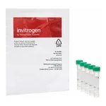 Thermo Fisher Scientific CellROX Green Reagent, for oxidative stress detection