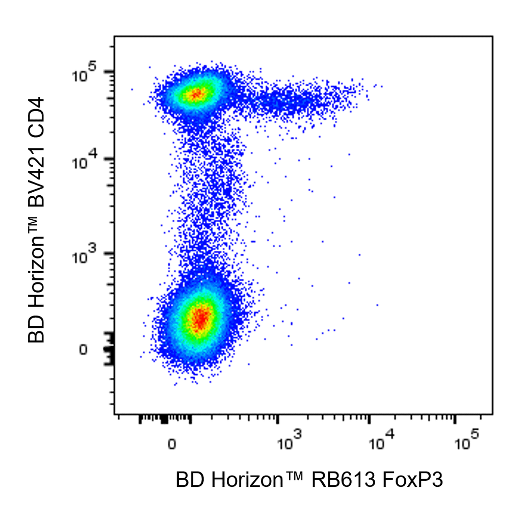 BD RB613 Mouse Anti-Human FoxP3