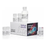 Thermo Fisher Scientific Click-iT Plus EdU Alexa Fluor 647 Flow Cytometry Assay Kit, 50 rxn(s)