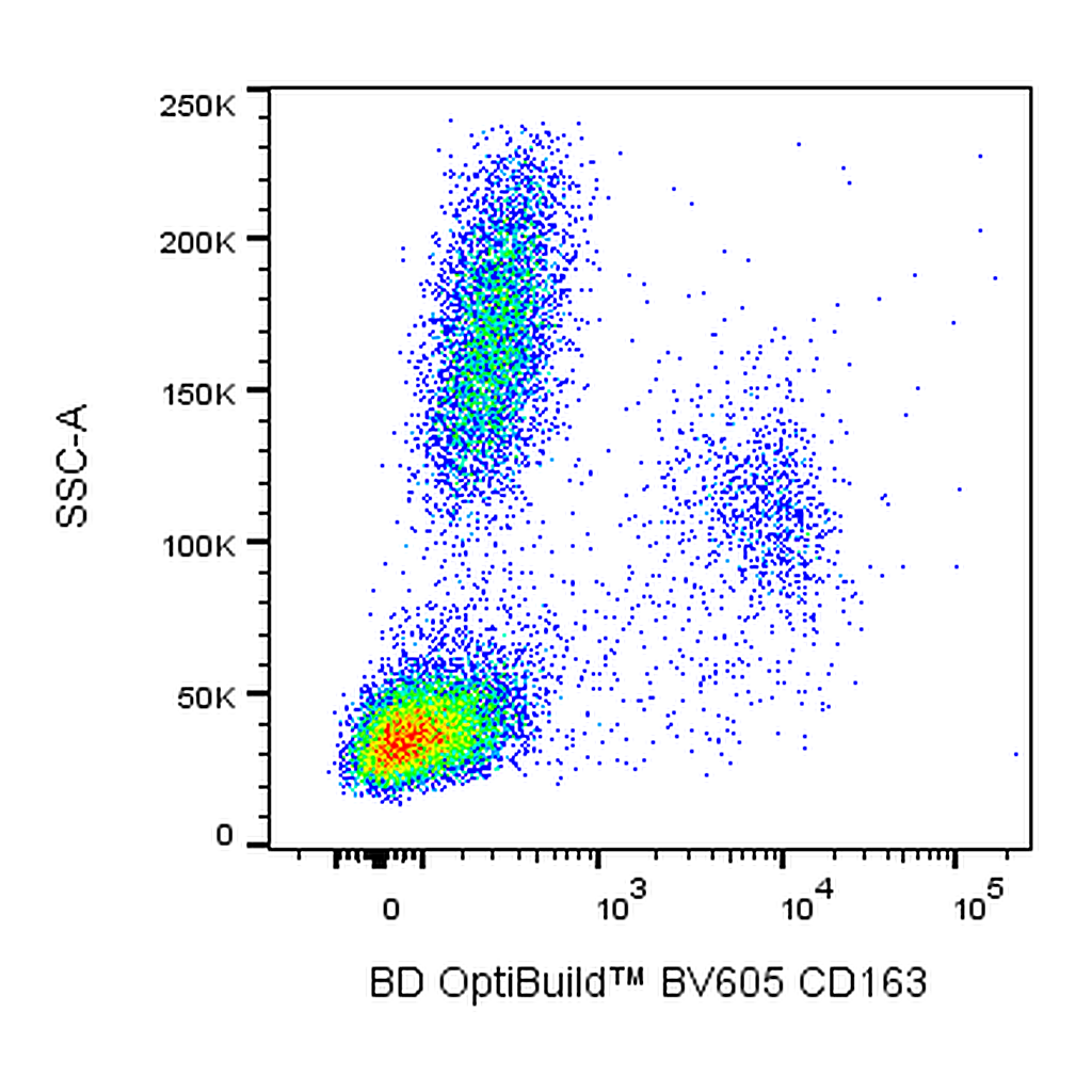BD BV605 Mouse Anti-Human CD163